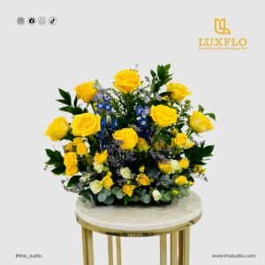 Citrus Burst-LXF-1033