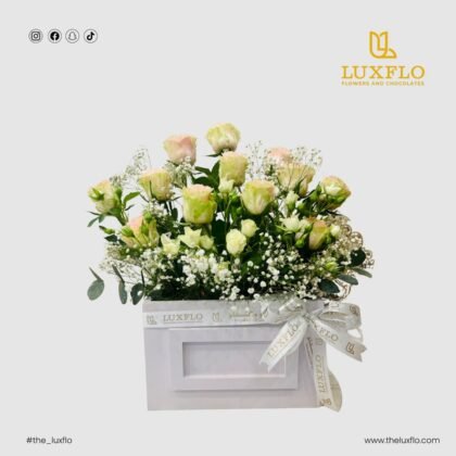 Luxe Box-LXF-1088