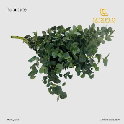 Wholesale-16-LXF-1411