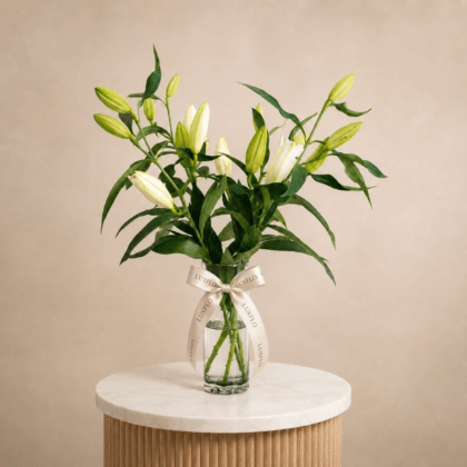 LXF-1142-Delicate Allure.