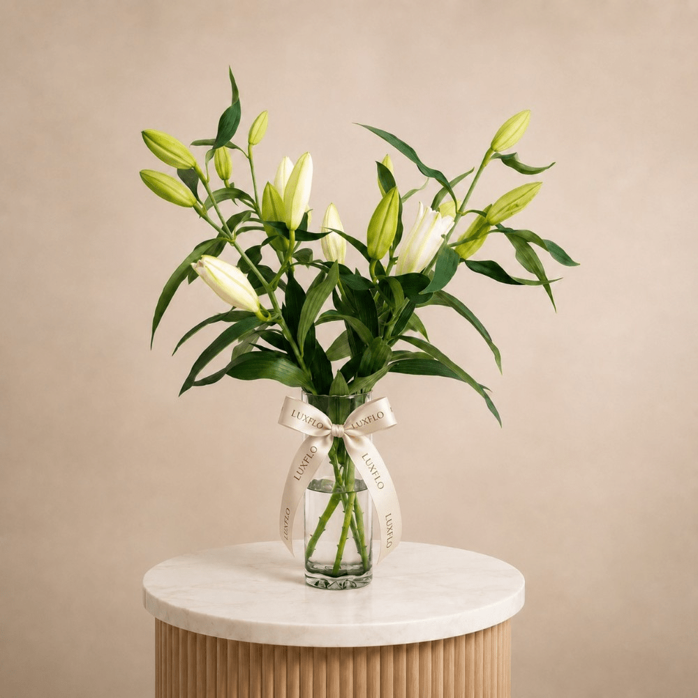 LXF-1142-Delicate Allure.