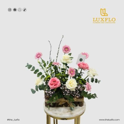 LXF-1119-Golden Hour