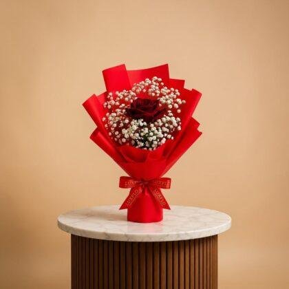 LXF-1328-Scarlet Love.