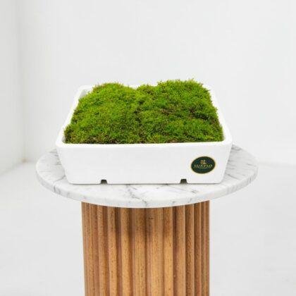 Wholesale Green Moss-Lxf-1406