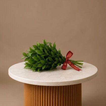 Wholesale Ruscus Leaves-Lxf-1410