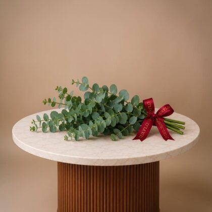 Wholesale Eucalyptus Leaves-Lxf-1411