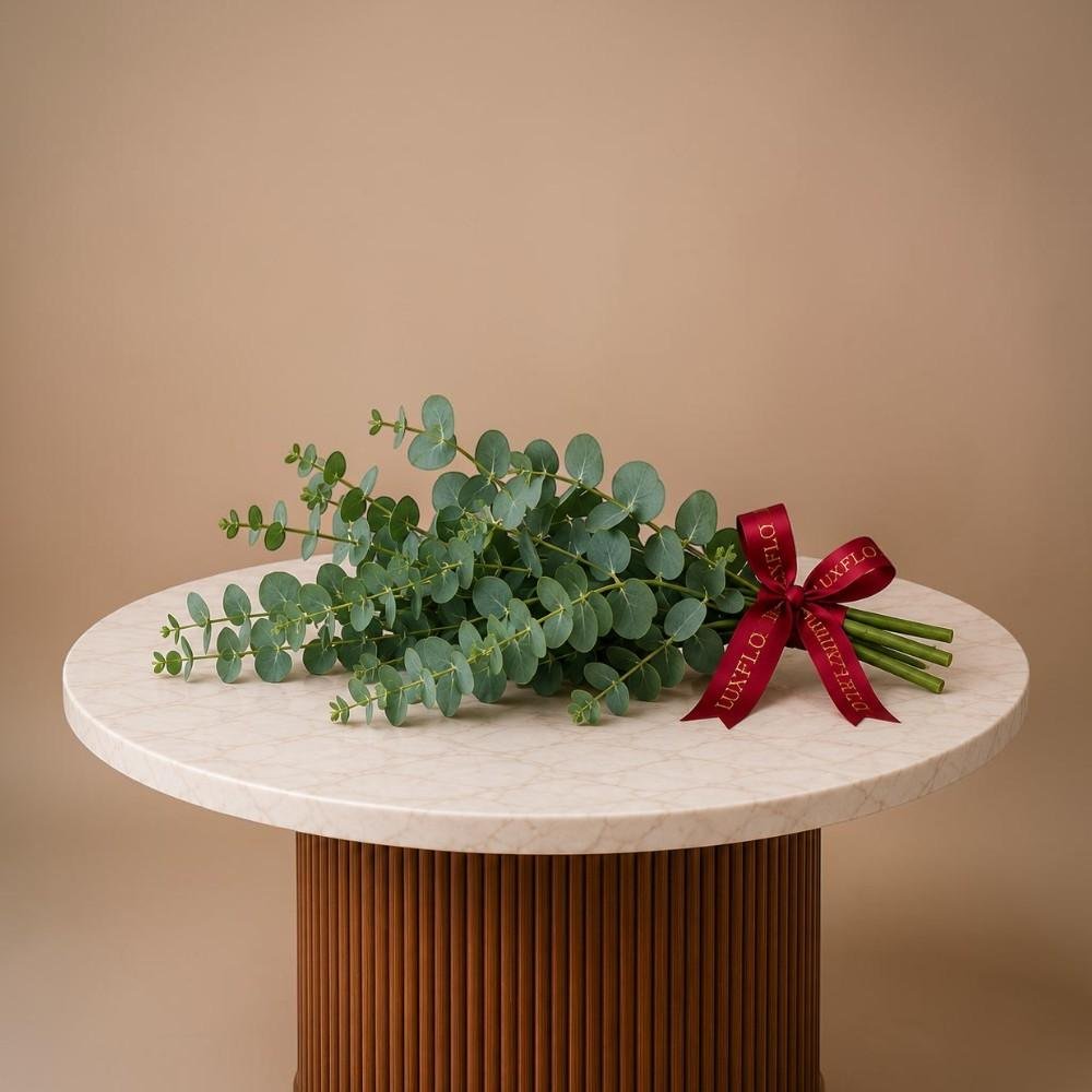 Wholesale Eucalyptus Leaves-Lxf-1411