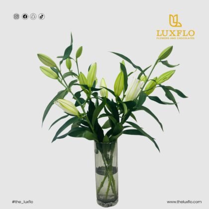 LXF-1142-Delicate Allure.
