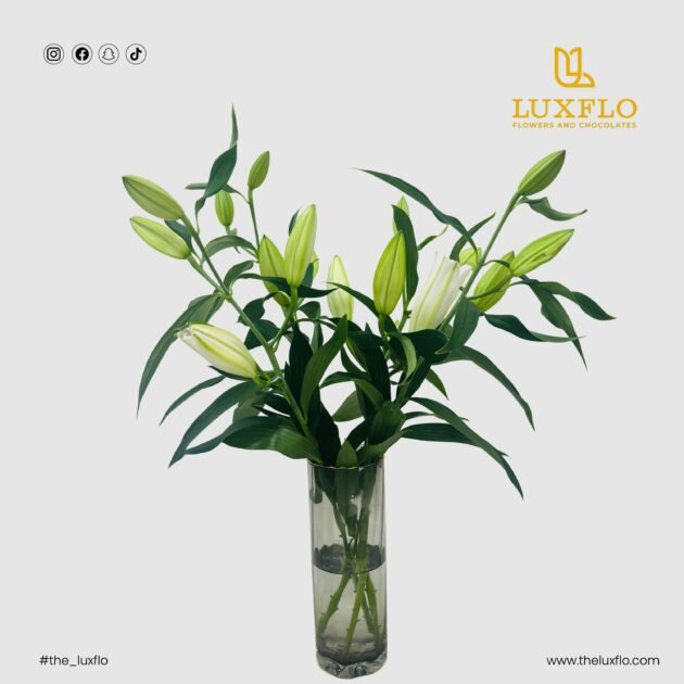 LXF-1142-Delicate Allure.