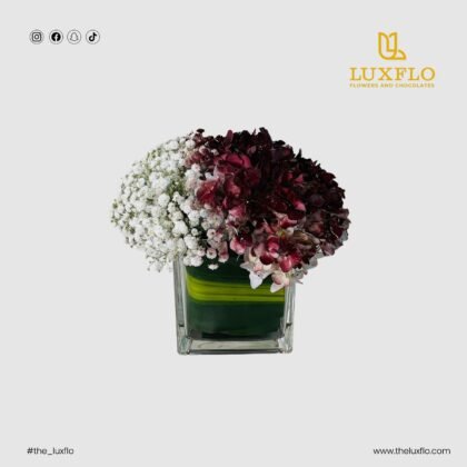LXF-1190-National Day-10