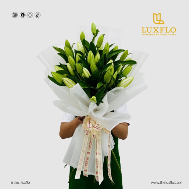 Lily Serenity-LXF-1261