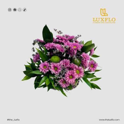 Ruscus Radiance-LXF-1039