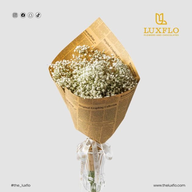 Cloud Bloom-Gypsophila-LXF-1390