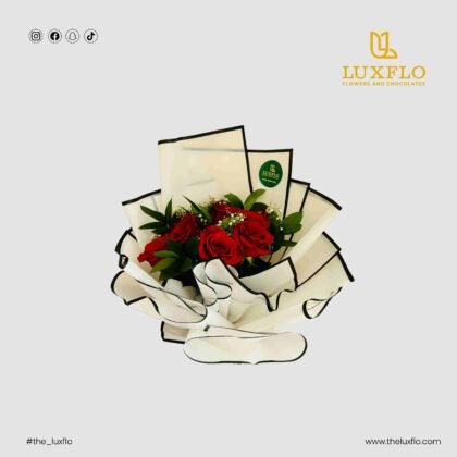 Classic Elegance-LXF-1059