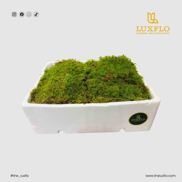 Wholesale-12- LXF-1406