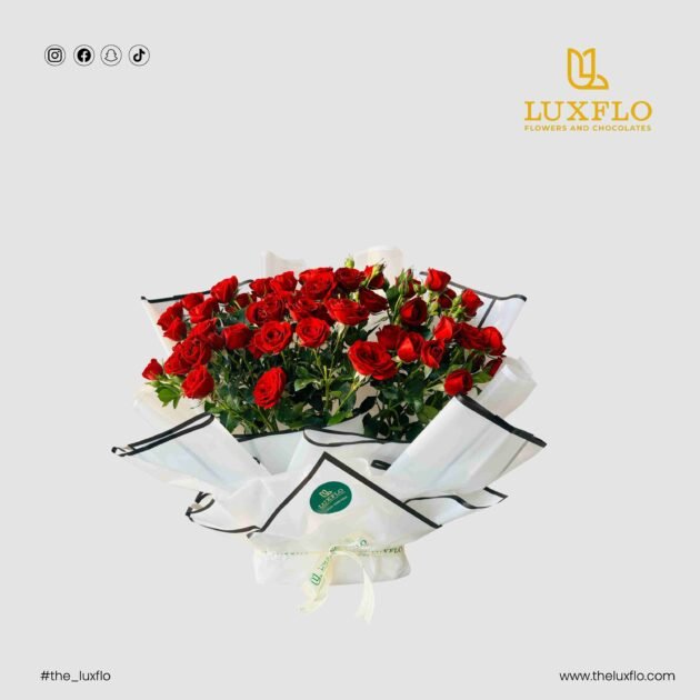 Blushing Love-LXF-1064