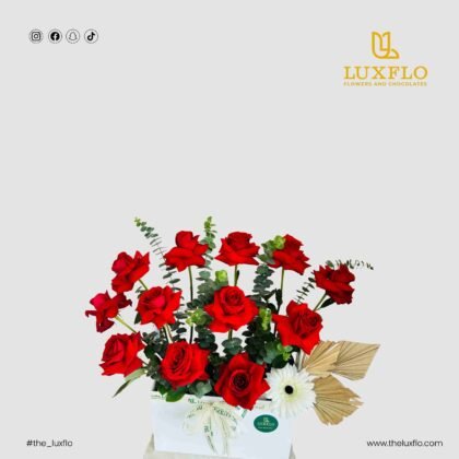 Rose Refresher-LXF-1065