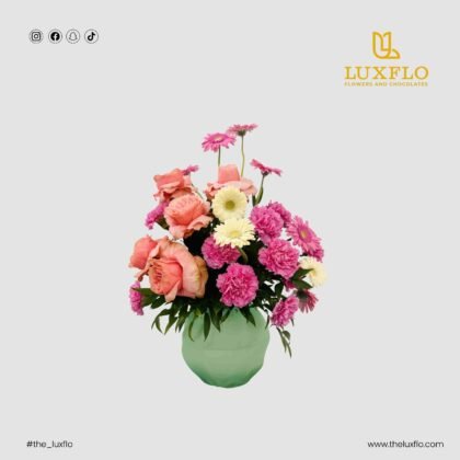 Pure Delight-LXF-1067