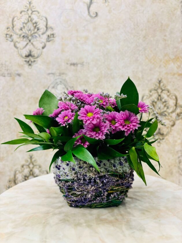 Ruscus Radiance-LXF-1039 - Image 2