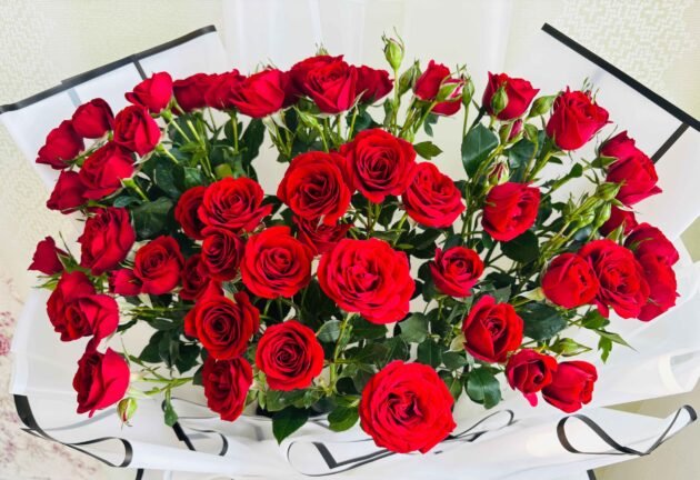 Blushing Love-LXF-1064 - Image 4