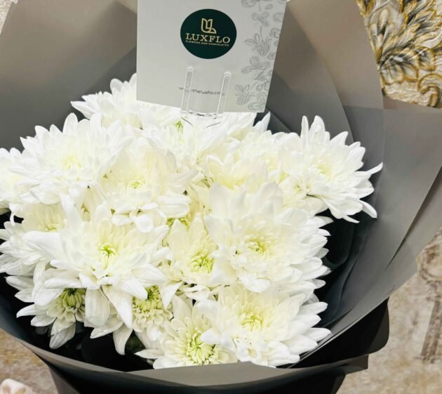 Chrysanthemum Elegy-LXF-1078 - Image 3