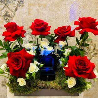 Romantic Rhapsody-LXF-1082