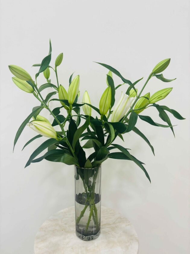 LXF-1142-Delicate Allure. - Image 4