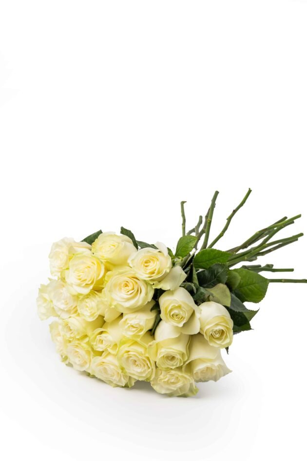 LXF-1364-Wholsale flower-03 - Image 2