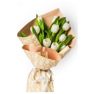 Tulip Serenade-LXF-1388 - Image 2