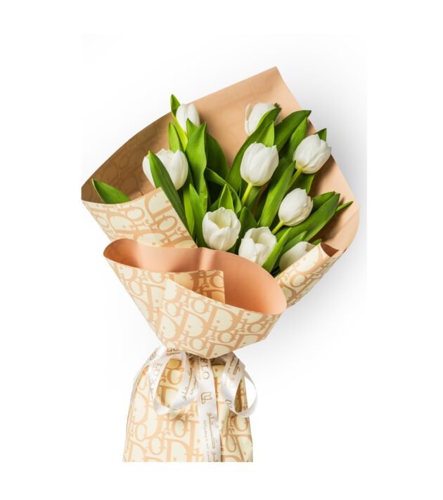 Tulip Serenade-LXF-1388 - Image 2
