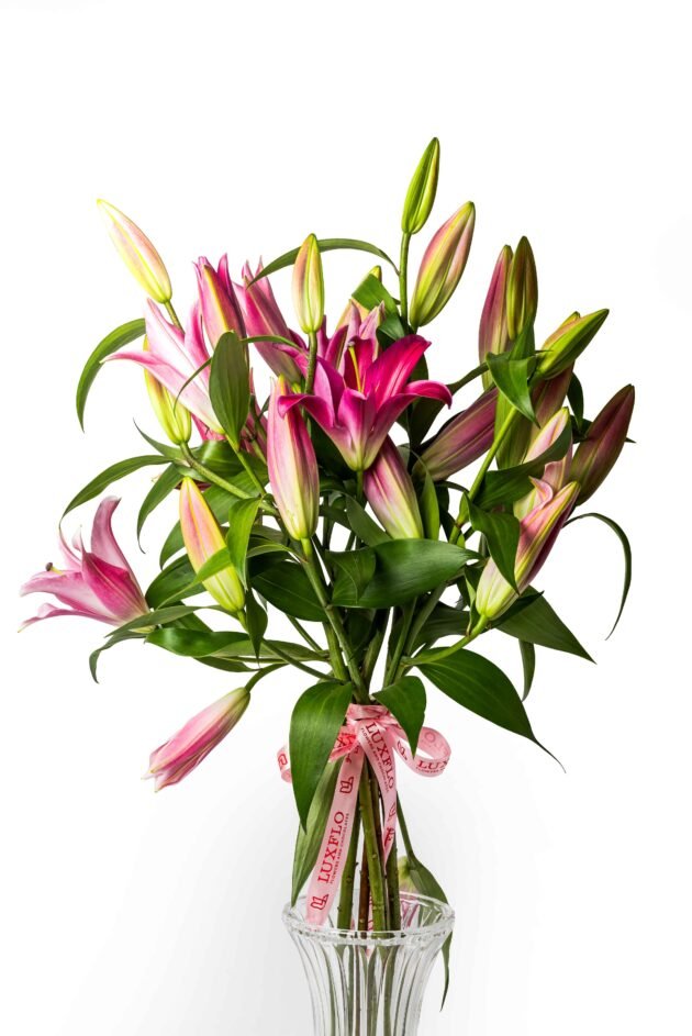 Wholesale-11-LXF-1389