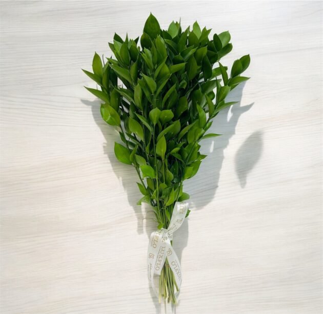 Wholesale-15-LXF-1410