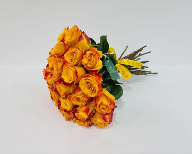 Wholesale-17-LXF-1412 - Image 2
