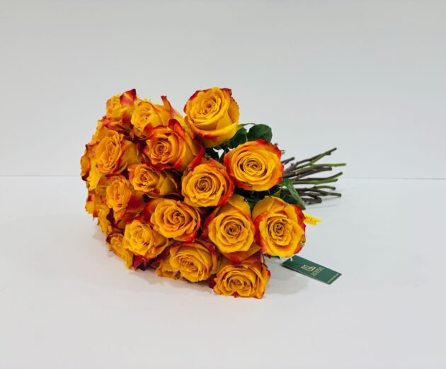 Wholesale-17-LXF-1412 - Image 3