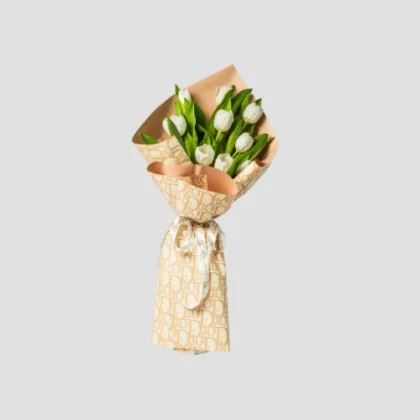 Tulip Serenade-LXF-1388