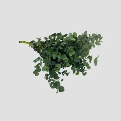 Wholesale-16-LXF-1411