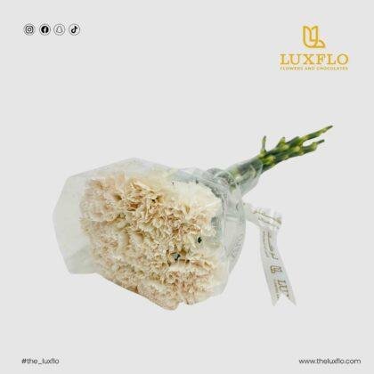 Wholesale off white Carnation-19-Lxf-1490