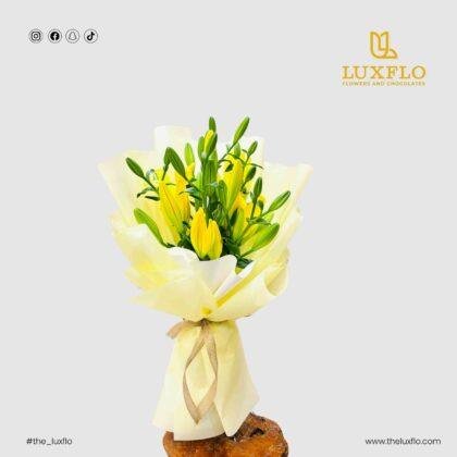 Lily Sunshine-LXF-1495