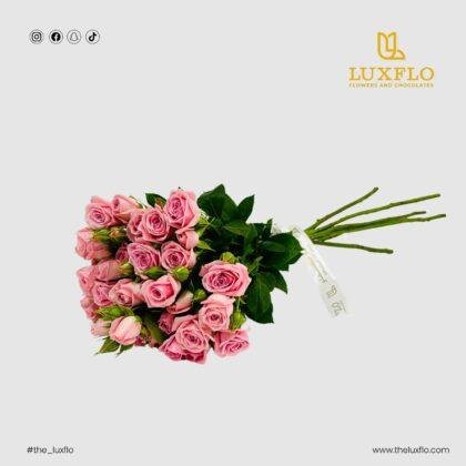 Wholesale Pink Baby Roses-21-lxf-1497