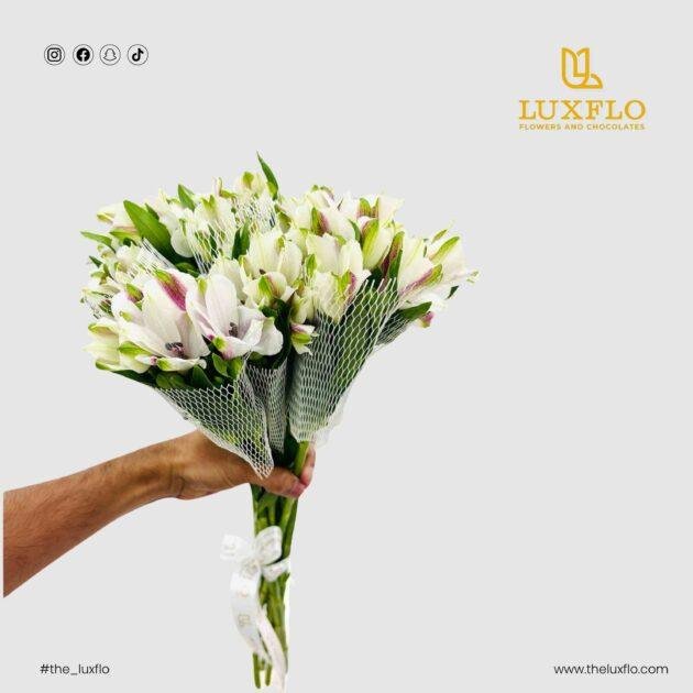 Wholesale White Alstroemeria-22-lxf-1498