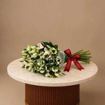 Wholesale-White Alstroemeria-LXF-1498