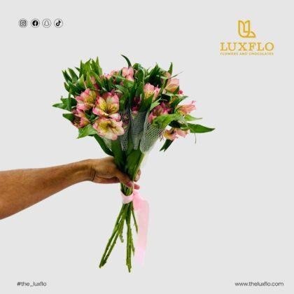 Wholesale Pink Alstroemeria-23-lxf-1499