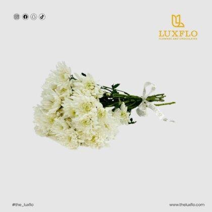 Wholesale White Chrysanthemum-25-lxf-1501