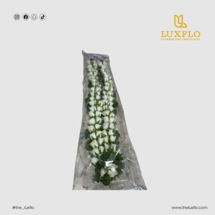 Love Garland-LXF-1519