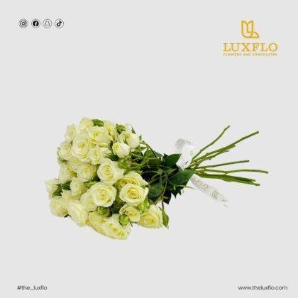 Wholesale White Baby Roses-26-Lxf-1522