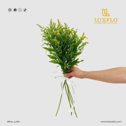 Wholesale Solidago-28-Lxf-1547