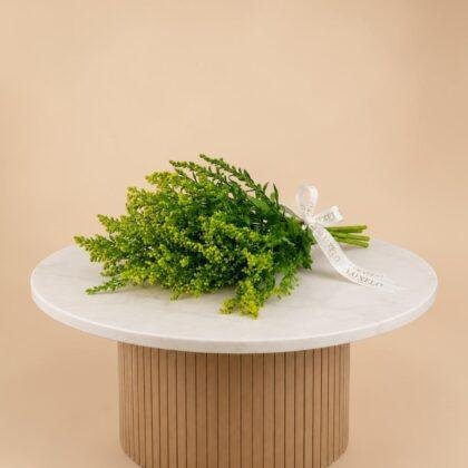 Wholesale-Solidago-LXF-1547