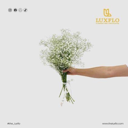 Wholesale Gypsophila-29-Lxf-1548