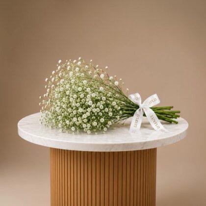 Wholesale-Gypsophila-LXF-1548