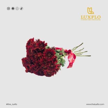 Wholesale Maroon Chrysanthemum-30-Lxf-1549